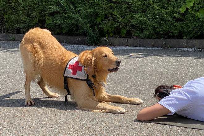 Rettungshund zeigt gefundene Person an