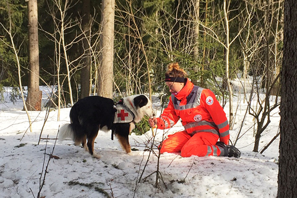 Rettungshundeteam im Winter