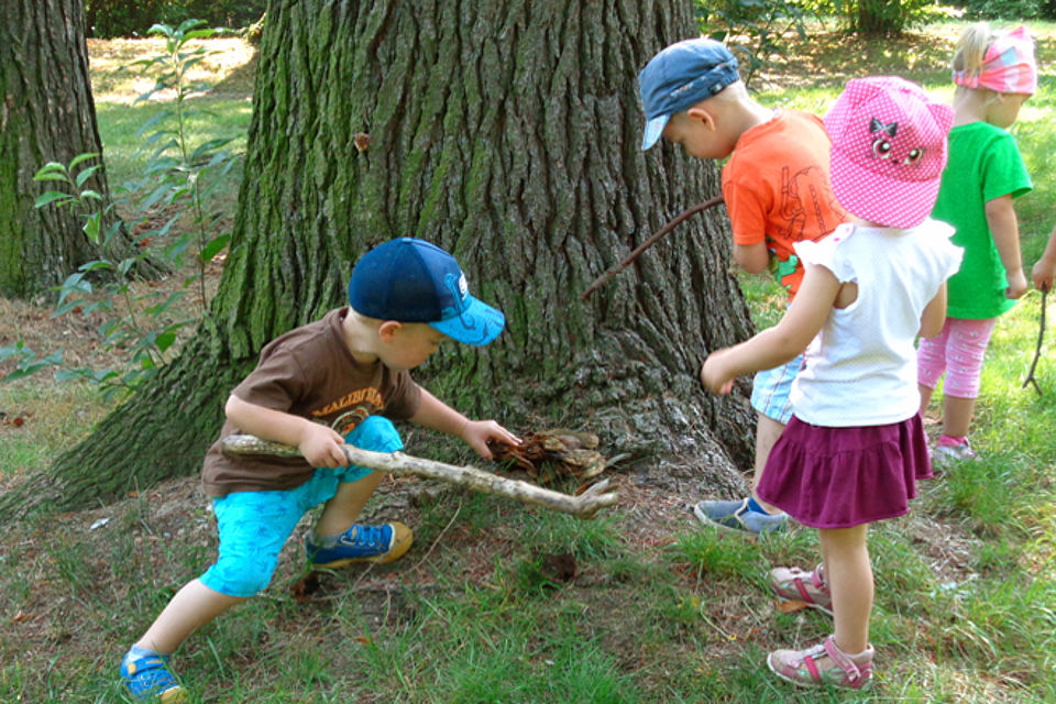 660_Schneeberg_Wald.jpg Mehrere Kinder spielen mit Stöcken am Fuß eines großen Baums im Wald