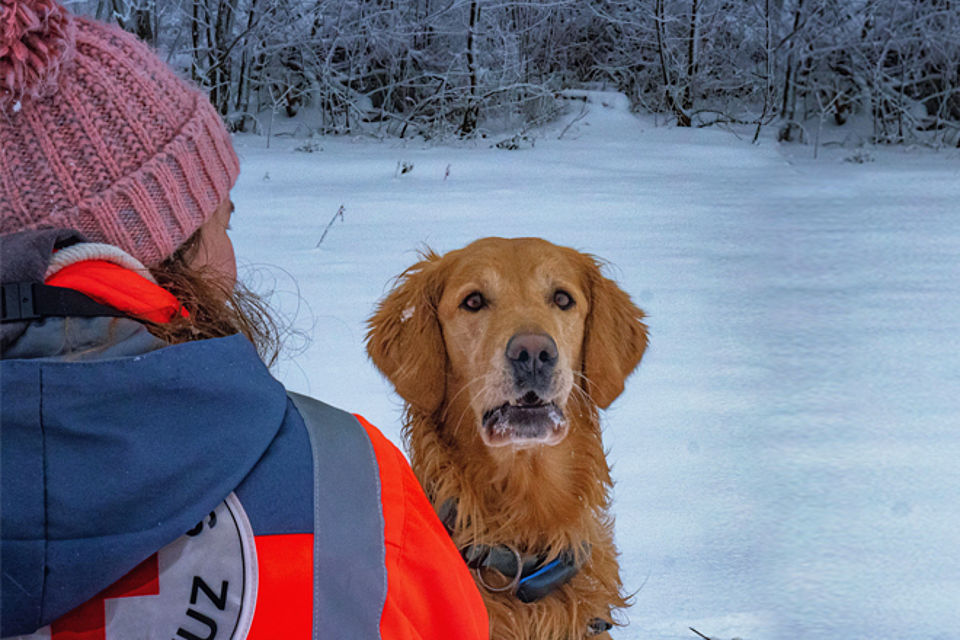 Rettungshundeteam im Winter